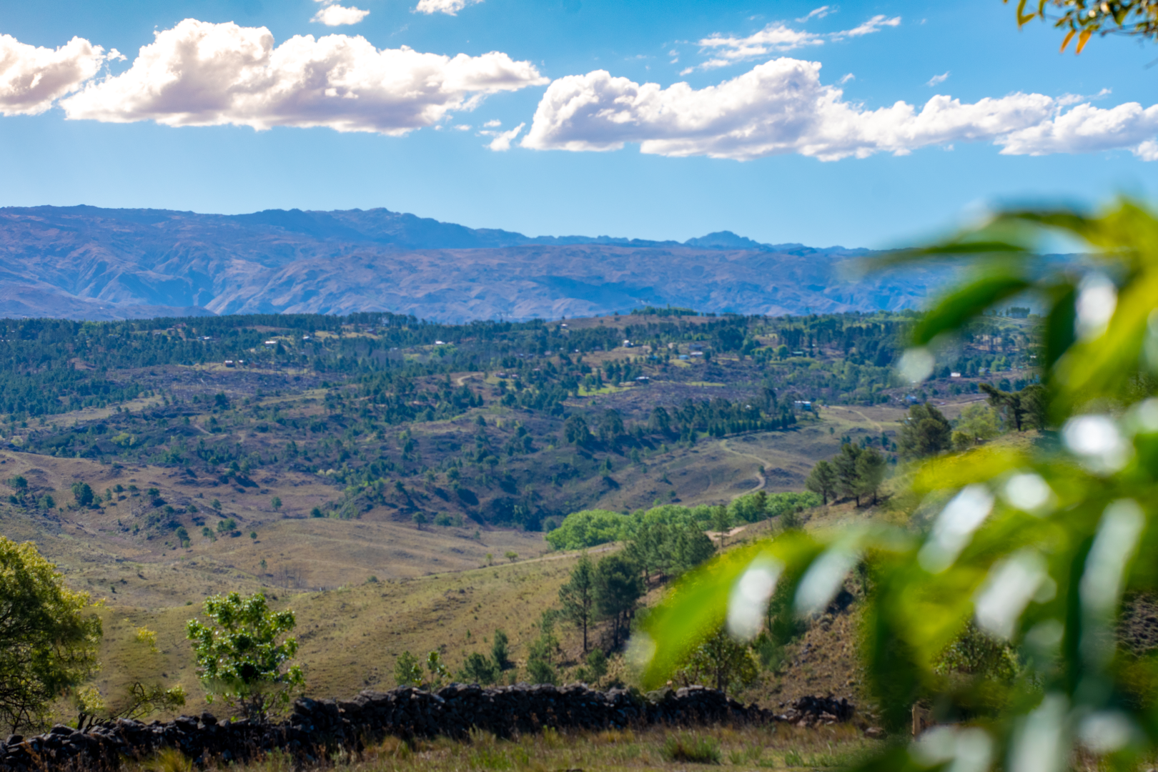 El Sereno SIN LOGO (13)