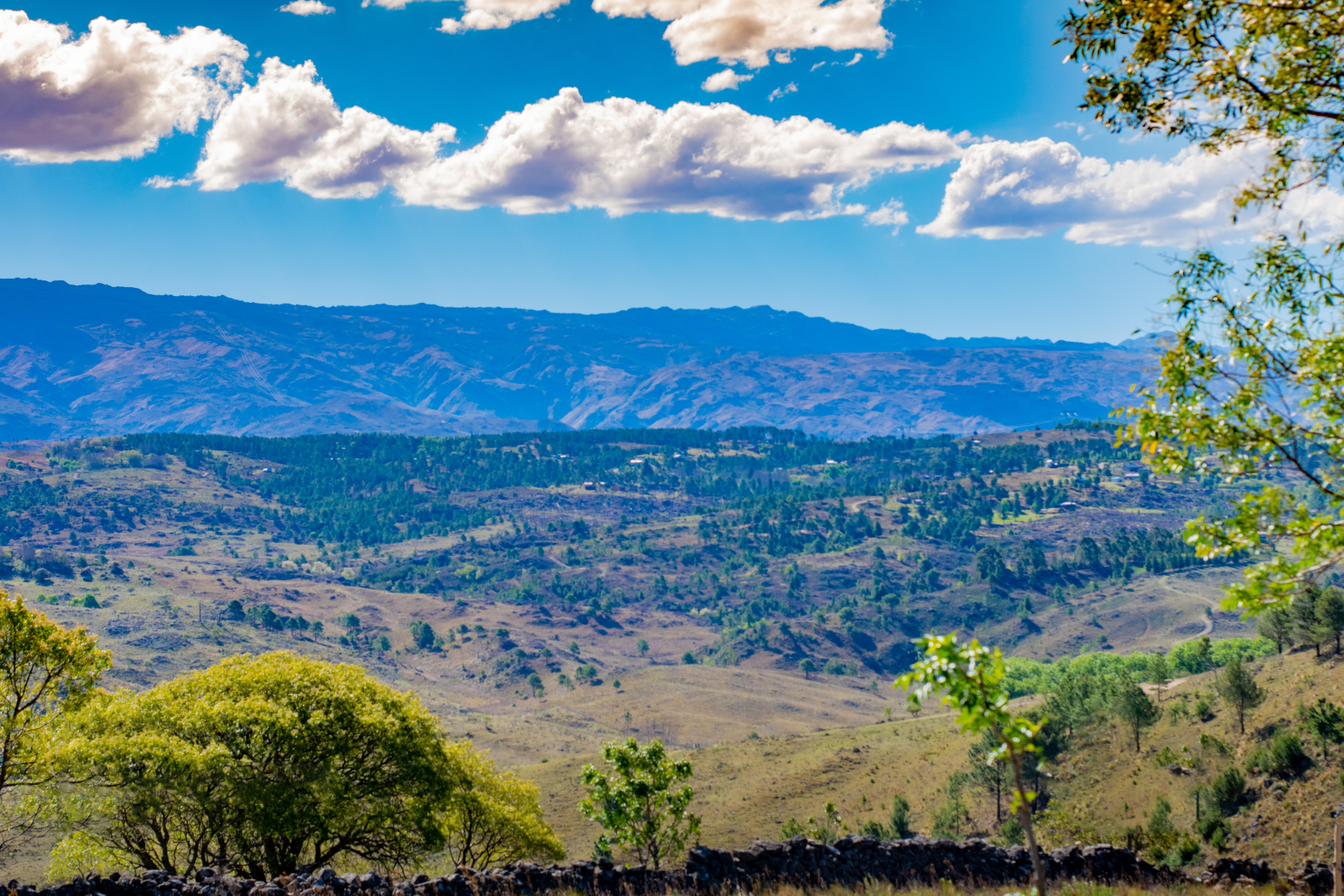 El Sereno SIN LOGO (15)
