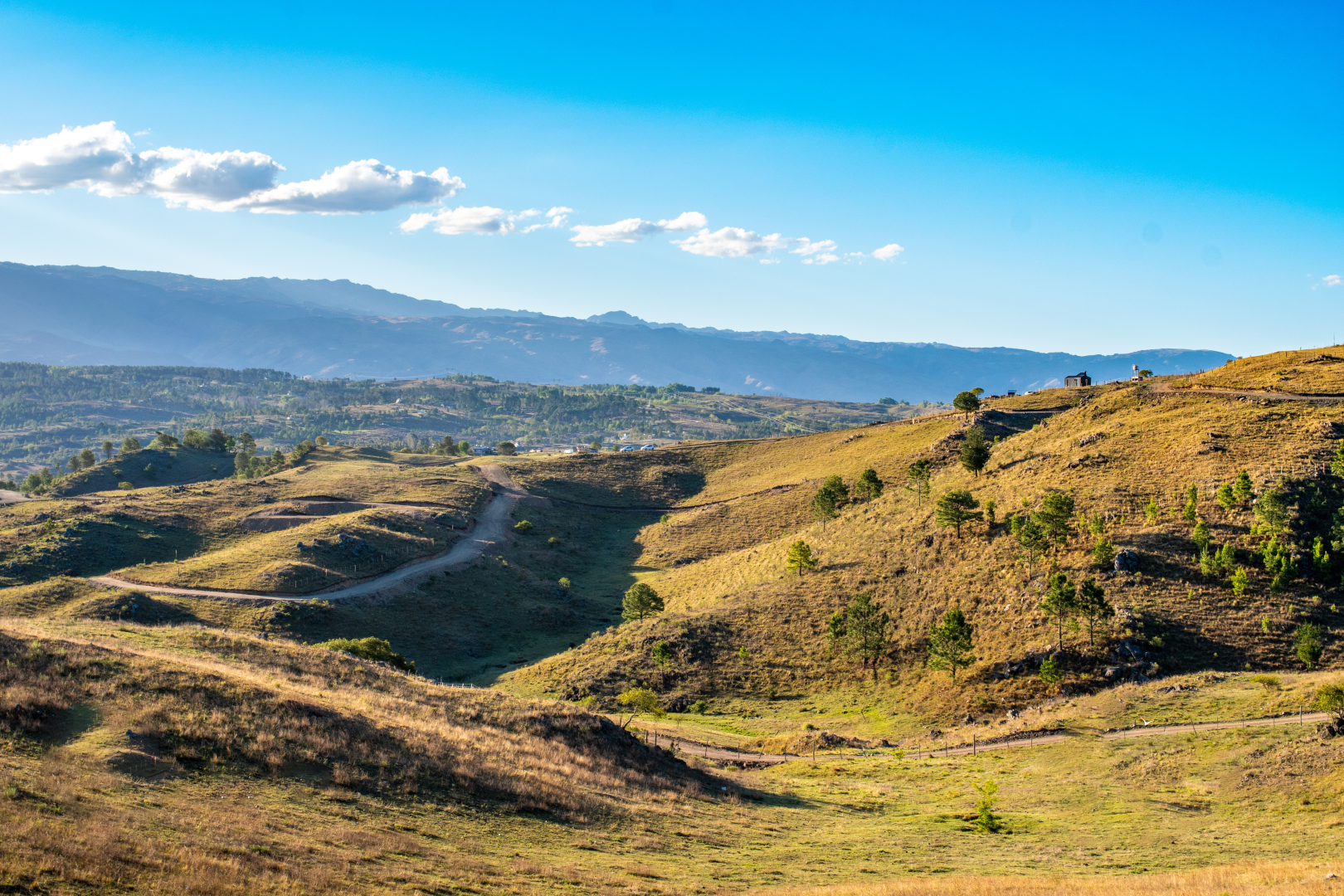 El Sereno SIN LOGO (2)