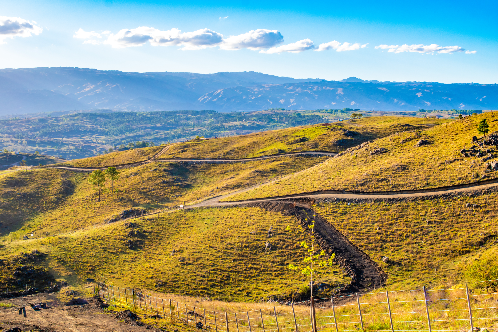 El Sereno SIN LOGO (5)